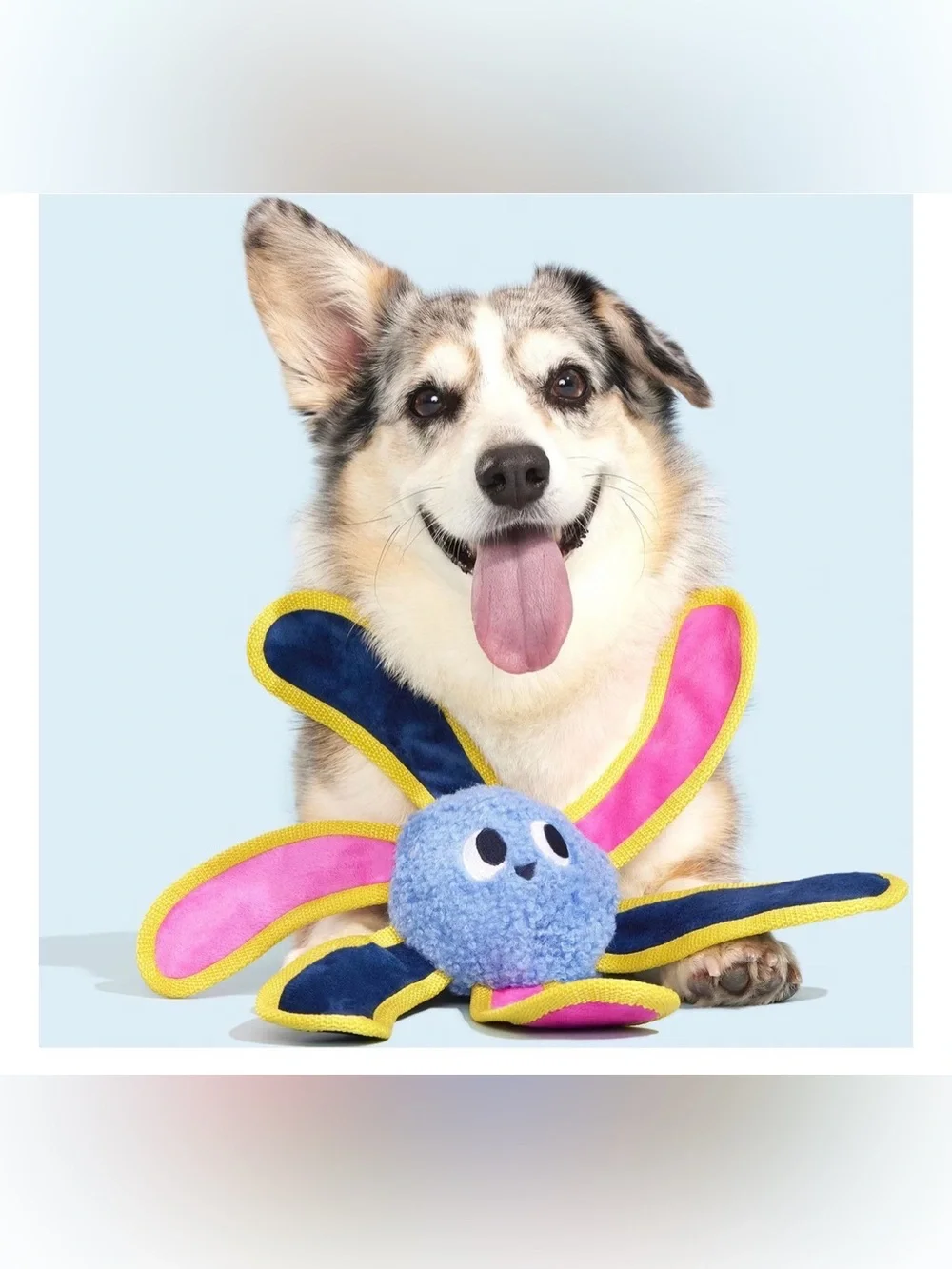Bark Box Dog Toy Plush Octopus 